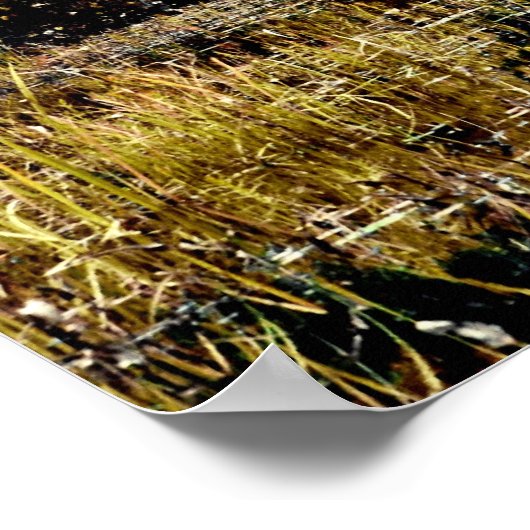 Poster ...suchen & finden (Ecke)