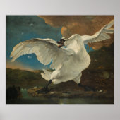 Poster Swan Asselijn (Vorne)