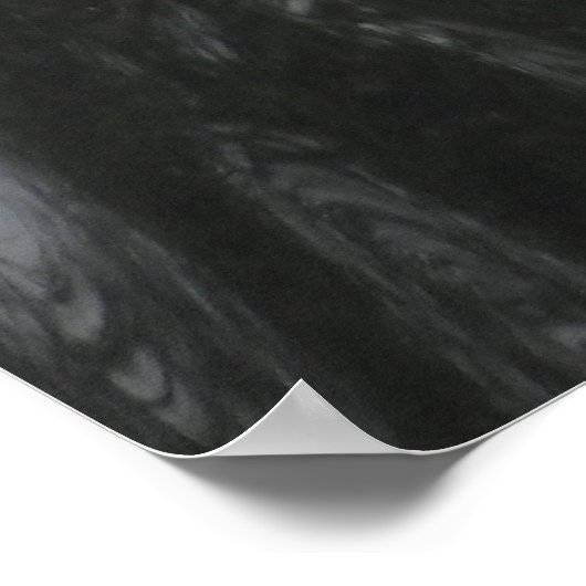 Poster Swan Schwimmen (Ecke)