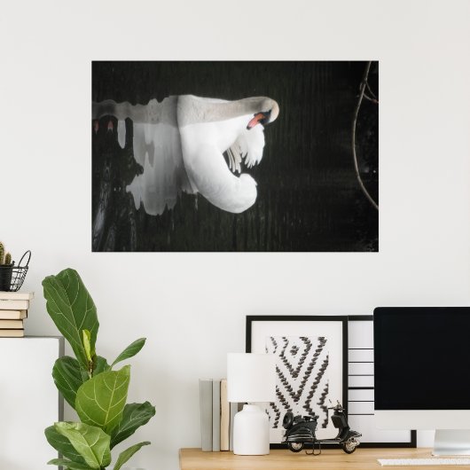 Poster Swan Schwimmen (Heimbüro)