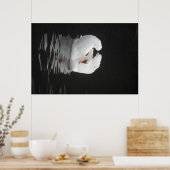 Poster Swan Schwimmen (Küche)