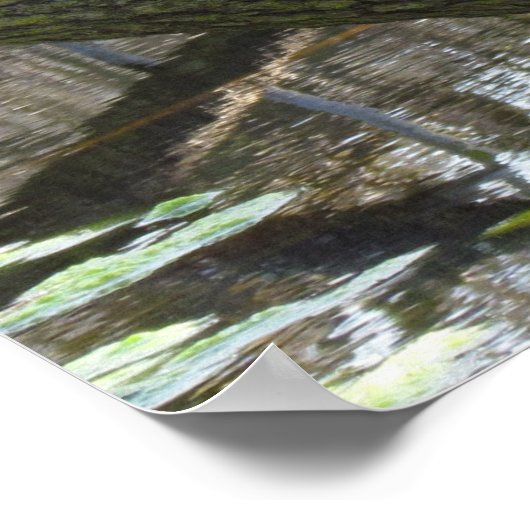 Poster - Teichschildkröten (Ecke)