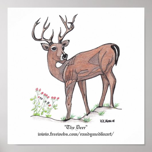 Poster "The Deer" (Vorne)