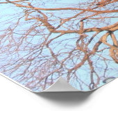 Poster Thomas Paine mit RIghts of Man Book (Ecke)