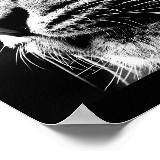 Poster-Tiere-40 Poster (Ecke)