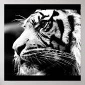 Poster-Tiere-40 Poster (Vorne)