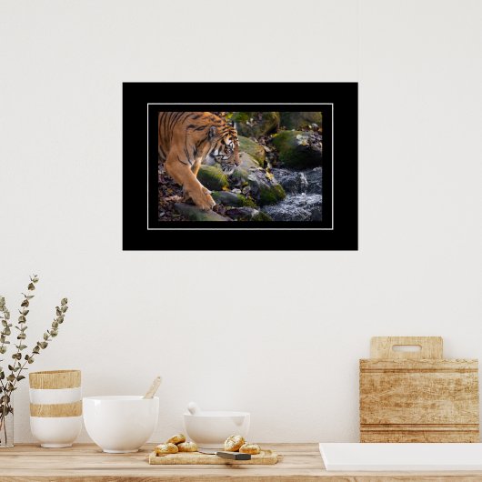 Poster Tiger (Küche)