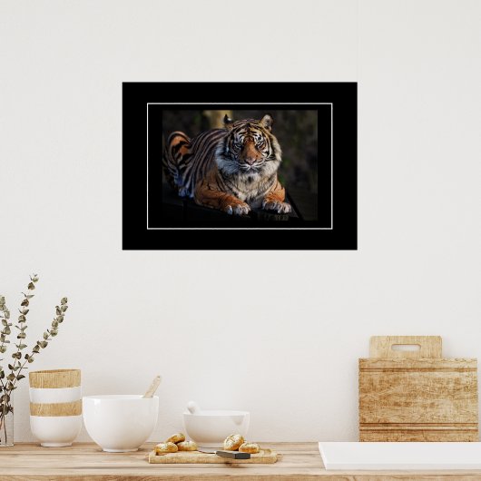 Poster Tiger (Küche)