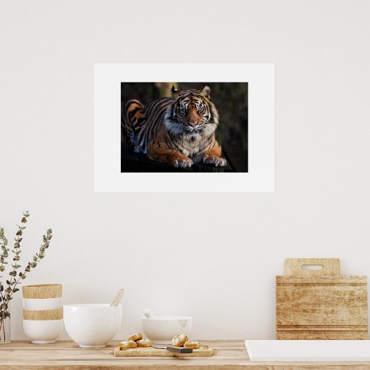 Poster Tiger (Küche)