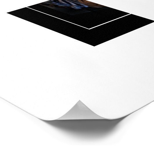 Poster Tiger (Ecke)