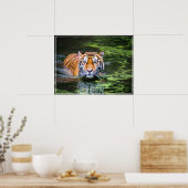 Poster-Tiger Poster (Küche)