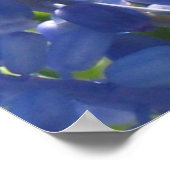 Poster - Traubenreste (Ecke)