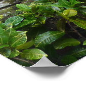 POSTER - Tropical Bali Garden (Ecke)