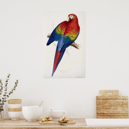Poster Tropical Parrot (Küche)