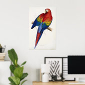 Poster Tropical Parrot (Heimbüro)
