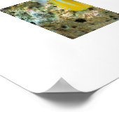 Poster-Tropischer Fisch Poster (Ecke)