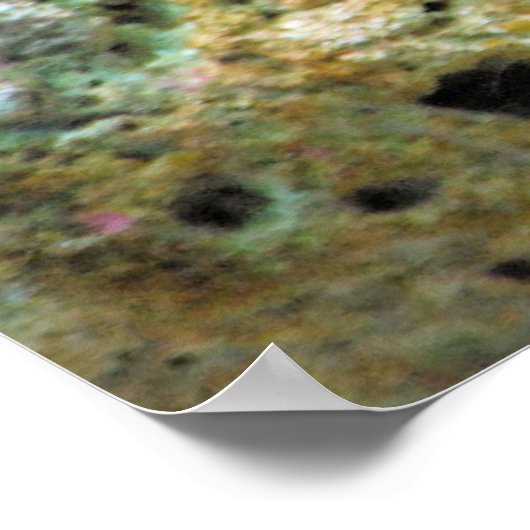 Poster-Tropischer Fisch Poster (Ecke)