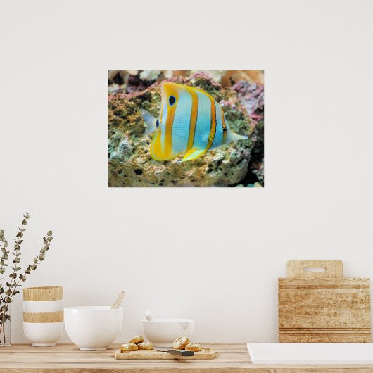Poster-Tropischer Fisch Poster (Küche)