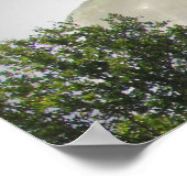 Poster - Turniere Ziel hoch (Ecke)