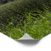 Poster ~ Ultrasarus in Meadow (Ecke)