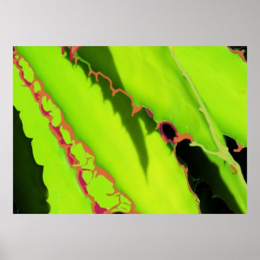 POSTER UND DRUCKEN (Vorne)