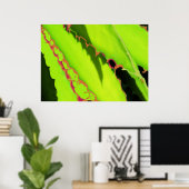 POSTER UND DRUCKEN (Heimbüro)