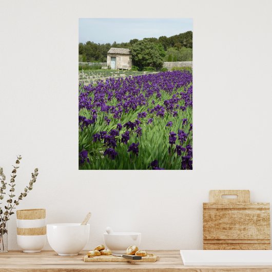 POSTER - Van Gogh Iris (Küche)