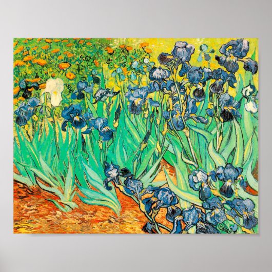 Poster Vincent van Gogh Irises 1889 Blauer Blumens (Vorne)