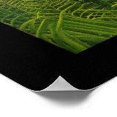 Poster Vintag Art man attaque par un jaguar (Ecke)