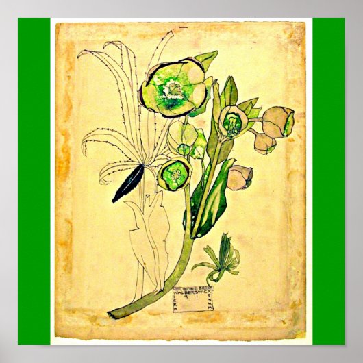 Poster-Vintag-Charles Rennie Mackintosh 21 Poster (Vorne)