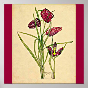 Poster-Vintage-Charles Rennie Mackintosh 20 Poster