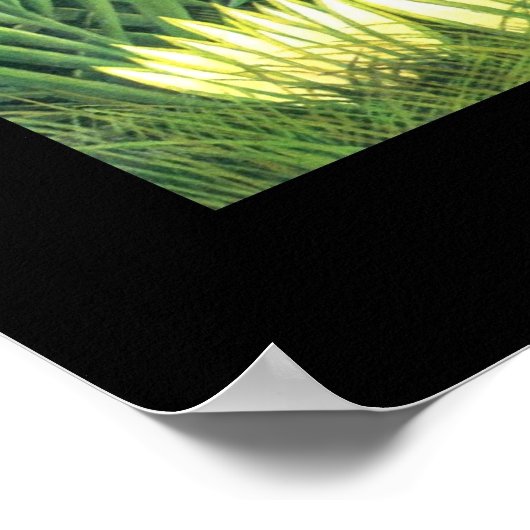 Poster Vintage Kunst - Der Dschungel (Ecke)