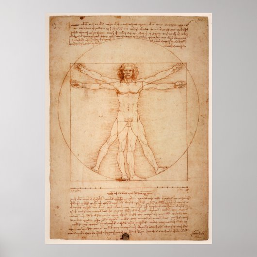Poster Vitruvian Man von Leonardo da Vinci (Vorne)