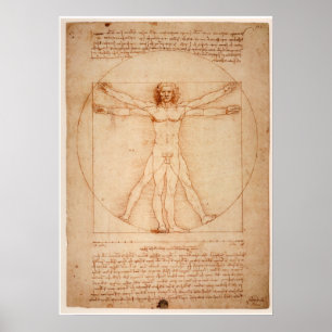 Poster Vitruvian Man von Leonardo da Vinci