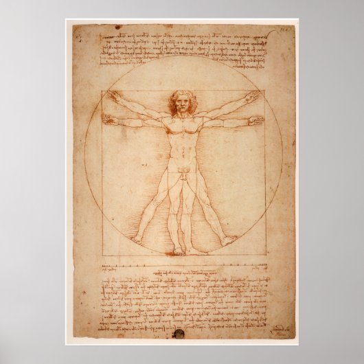 Poster Vitruvian Man von Leonardo da Vinci (Vorne)