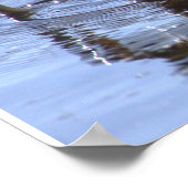 Poster Vogel mit Aal (Ecke)
