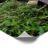 Poster voll (18" x 24") Reisfeld Temple Bali (Ecke)