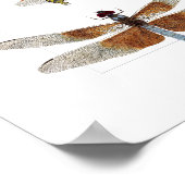 Poster von 5 Libellenarten (Ecke)