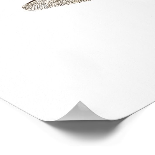 Poster von 6 Libellenarten (Ecke)