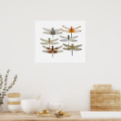 Poster von 6 Libellenarten (Küche)