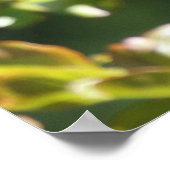 Poster von Adult Mockingbird und Young Mocking Bir (Ecke)