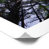 Poster von Bäumen in einem Wald. (Ecke)