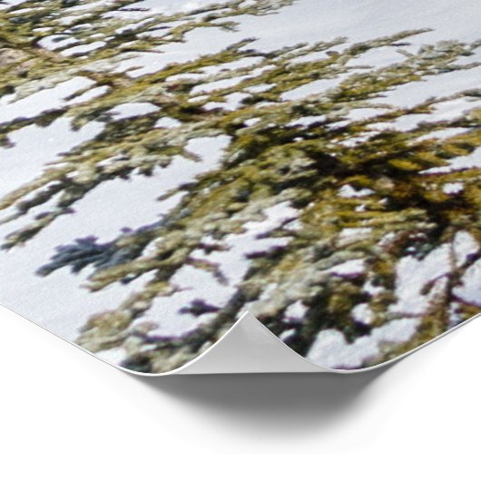 Poster von Castle Mountain (Ecke)