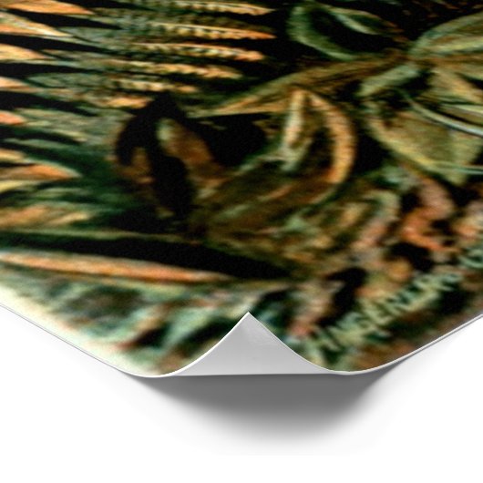 Poster von Ernst Haeckel's Filicinae (Tree Ferns) (Ecke)