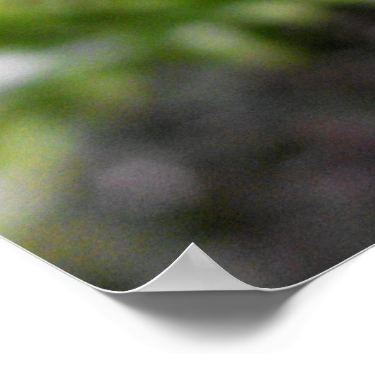 Poster von Frond (Ecke)