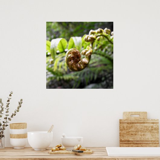 Poster von Frond (Küche)