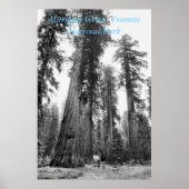 Poster von Giants (Vorne)