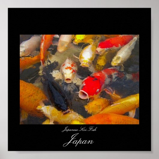 Poster von Koi Fish in Japan (Vorne)