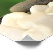 Poster von Papel con Spa-Objekten (Ecke)