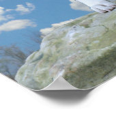 Poster von Pit Bull (American Staffordshire Terrie (Ecke)